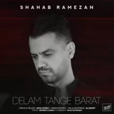 دانلود آهنگ شهاب رمضان به نام دلم تنگه برات