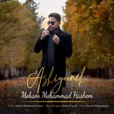 دانلود آهنگ محسن محمد هاشم به نام آشیونه