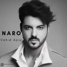 دانلود آهنگ وحید عزیزی به نام نرو