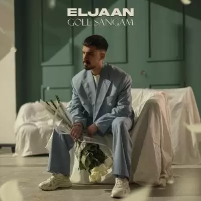 دانلود آهنگ الجان به نام گل سنگم دانلود آهنگ الجان به نام گل سنگم