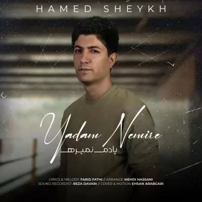 دانلود آهنگ حامد شیخ به نام یادم نمیره دانلود آهنگ حامد شیخ به نام یادم نمیره
