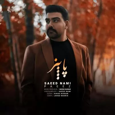 دانلود آهنگ سعید نامی به نام پاییز دانلود آهنگ سعید نامی به نام پاییز