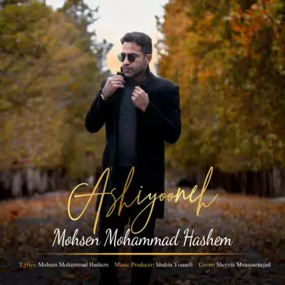 دانلود آهنگ محسن محمد هاشم به نام آشیونه دانلود آهنگ محسن محمد هاشم به نام آشیونه