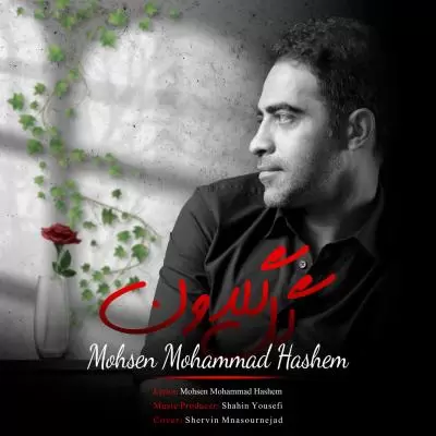 دانلود آهنگ محسن محمد هاشم به نام گل گلدون دانلود آهنگ محسن محمد هاشم به نام گل گلدون