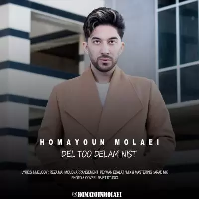 دانلود آهنگ همایون مولایی به نام دل تو دلم نیست دانلود آهنگ همایون مولایی به نام دل تو دلم نیست