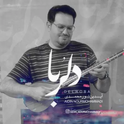 Aidin Nourmohammadi – Delroba Aidin Nourmohammadi – Delroba