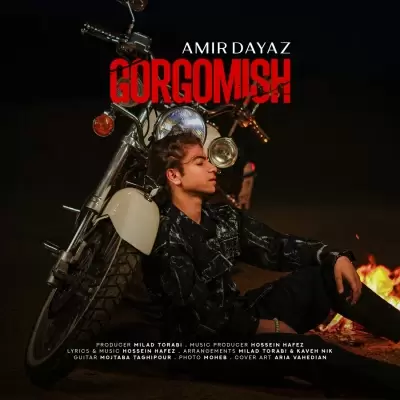 Amirdayaz – Gorgo Mish Amirdayaz – Gorgo Mish