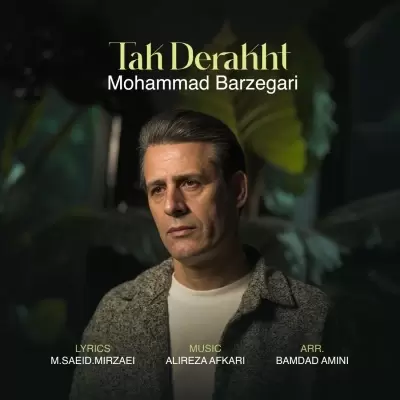 Mohammad Barzegari – Tak Derakht