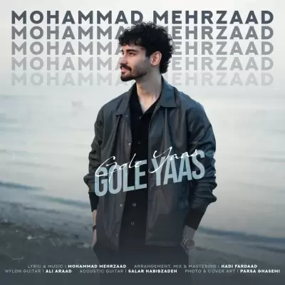 Mohammad Mehrzaad – Gole Yaas