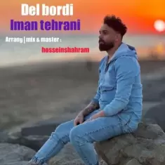 دانلود آهنگ ایمان تهرانی به نام دل بردی