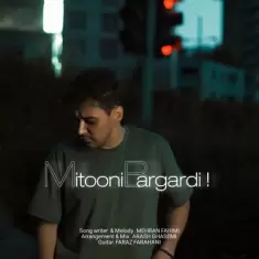 دانلود آهنگ مهران فهیمی به نام میتونی برگردی
