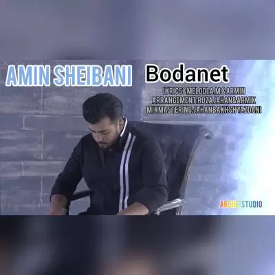 دانلود آهنگ امین شیبانی به نام بودنت دانلود آهنگ امین شیبانی به نام بودنت