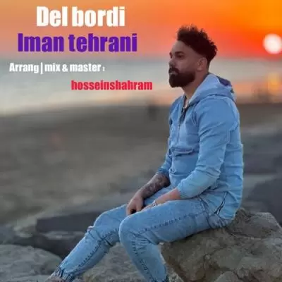 دانلود آهنگ ایمان تهرانی به نام دل بردی