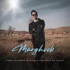 دانلود آهنگ پویان نجف به نام مرغوب