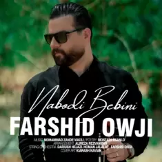 Farshid Owji – Nabodi Bebini
