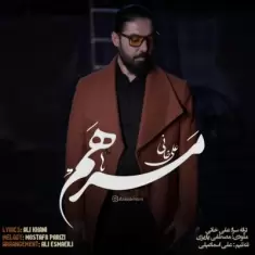 دانلود آهنگ علی خانی به نام مرهم