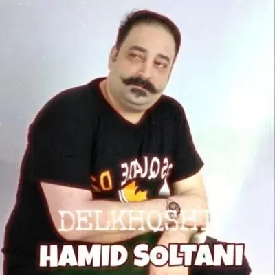 دانلود آهنگ حمید سلطانی به نام دلخوشی دانلود آهنگ حمید سلطانی به نام دلخوشی