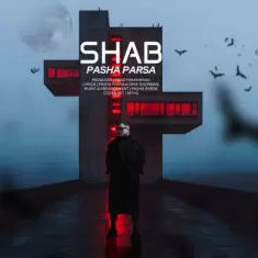 دانلود آهنگ پاشا پارسا به نام شب